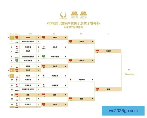 全球瞩目的2026世界杯决赛巅峰之夜谁将登顶世界足坛王座